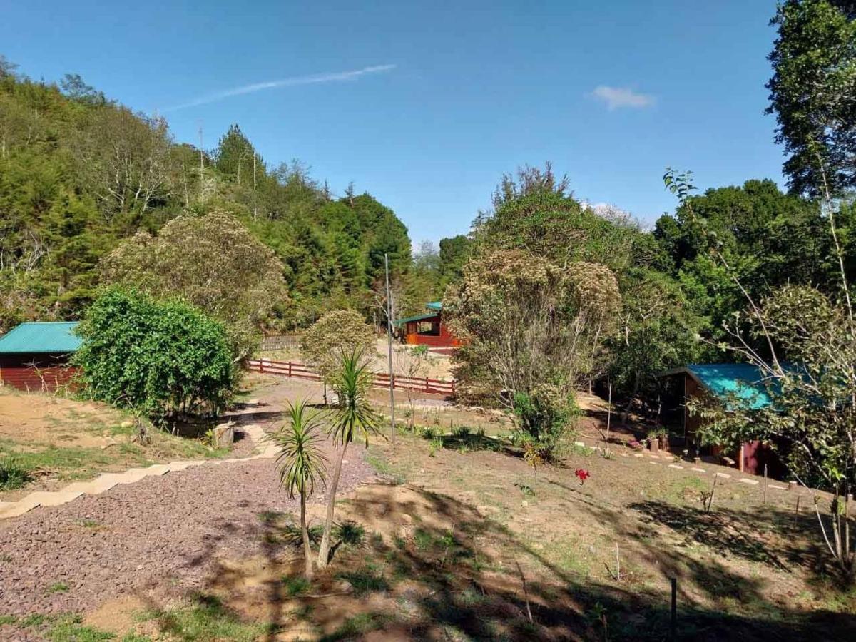 Curuba Lodge Copey Luaran gambar