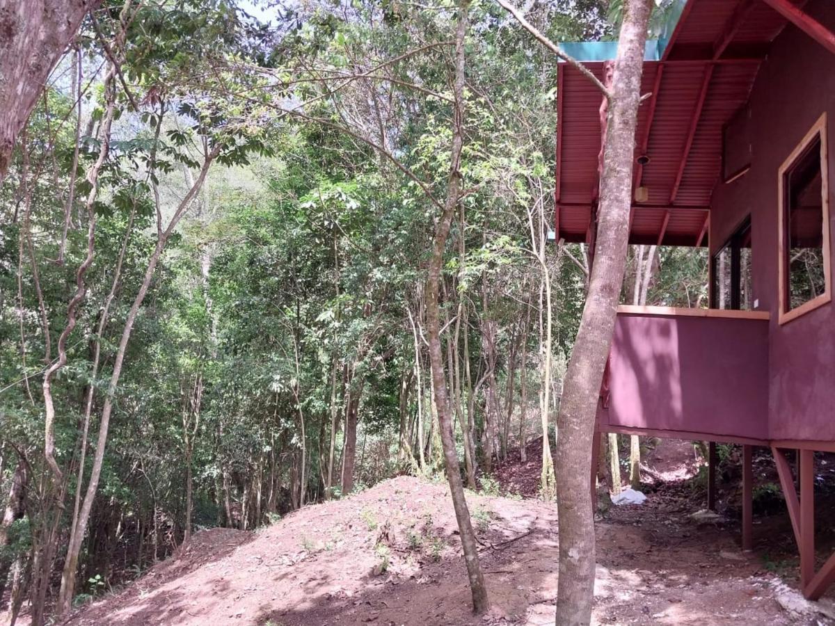 Curuba Lodge Copey Luaran gambar