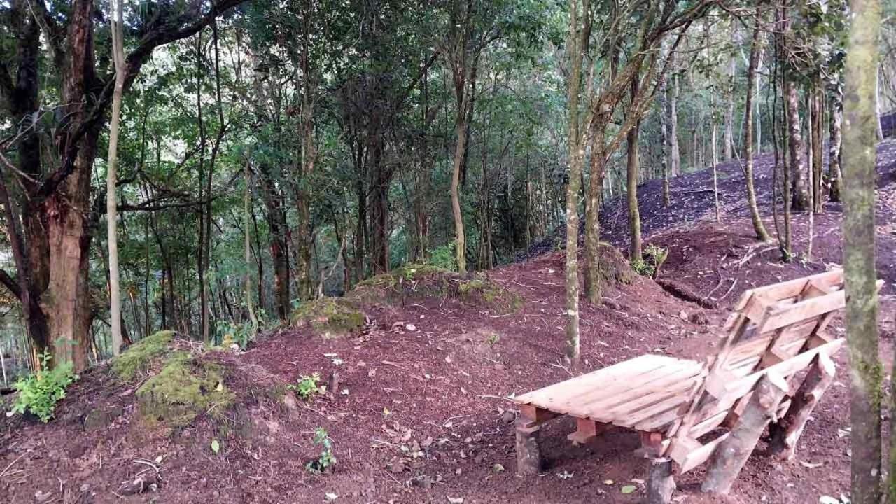Curuba Lodge Copey Luaran gambar