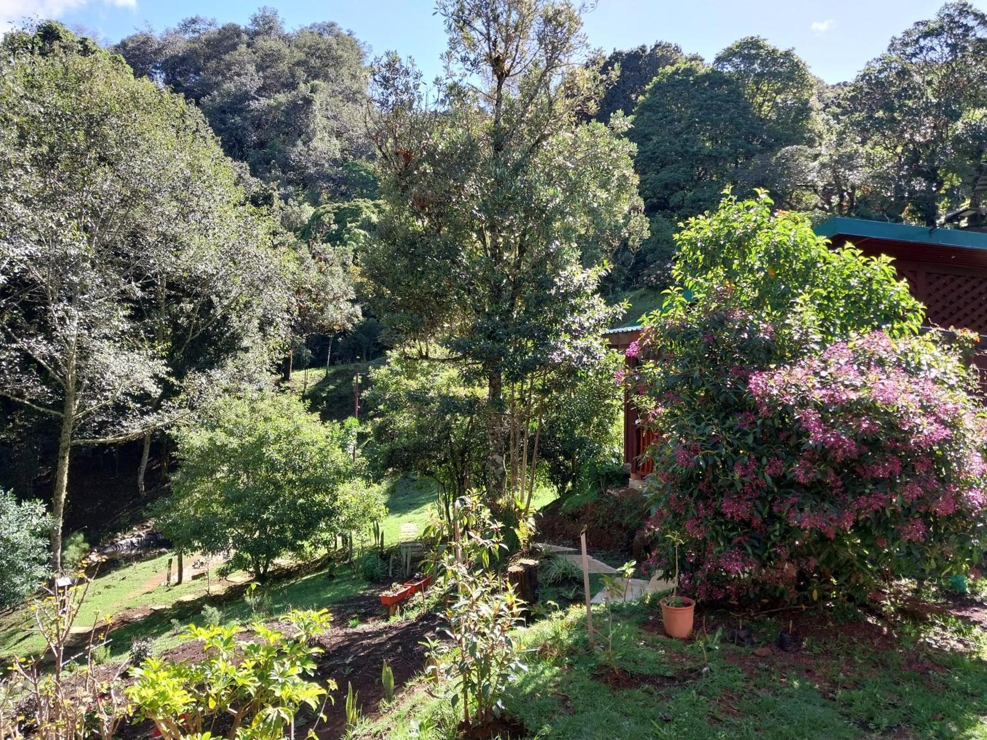 Curuba Lodge Copey Luaran gambar
