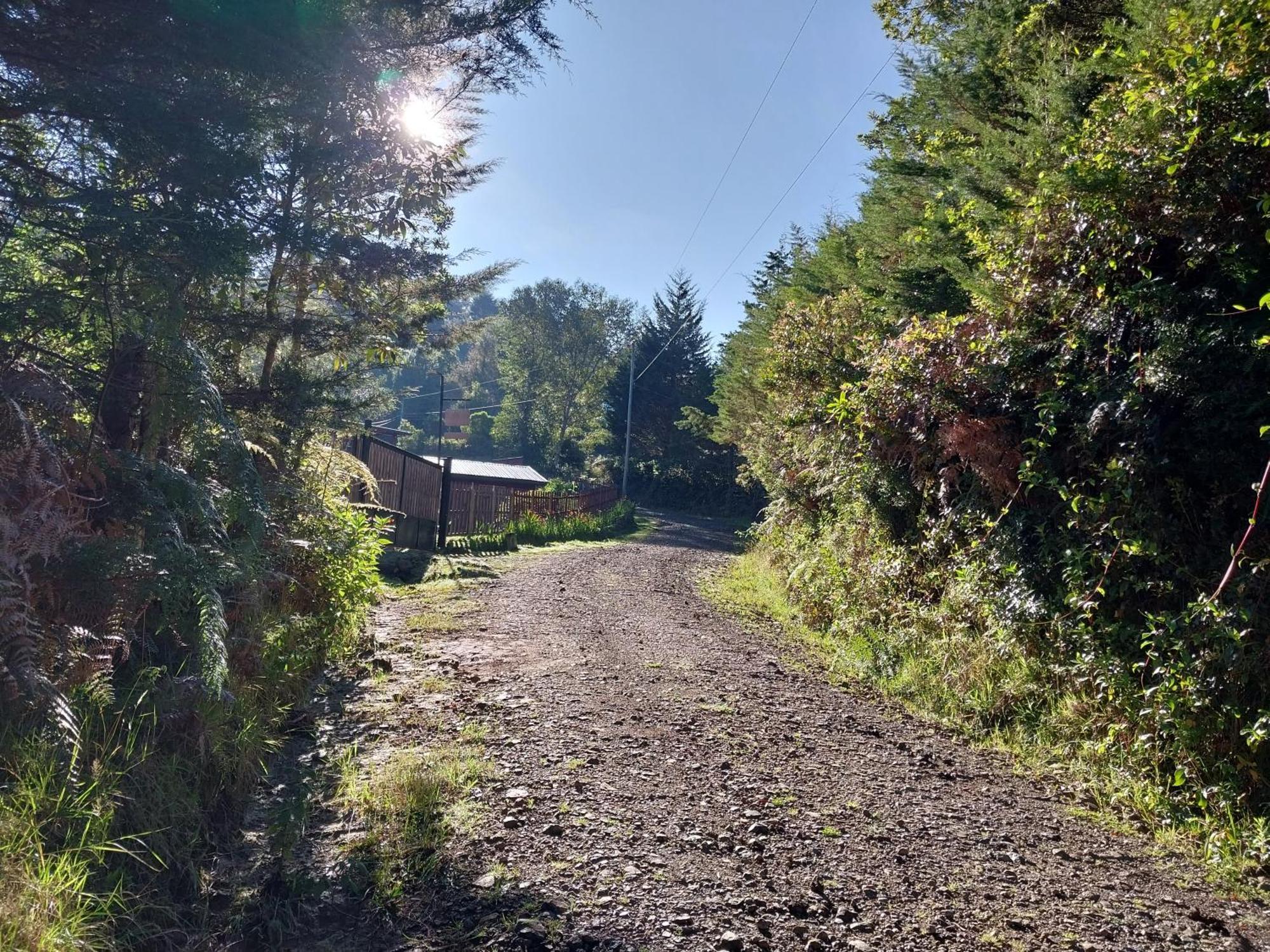 Curuba Lodge Copey Luaran gambar