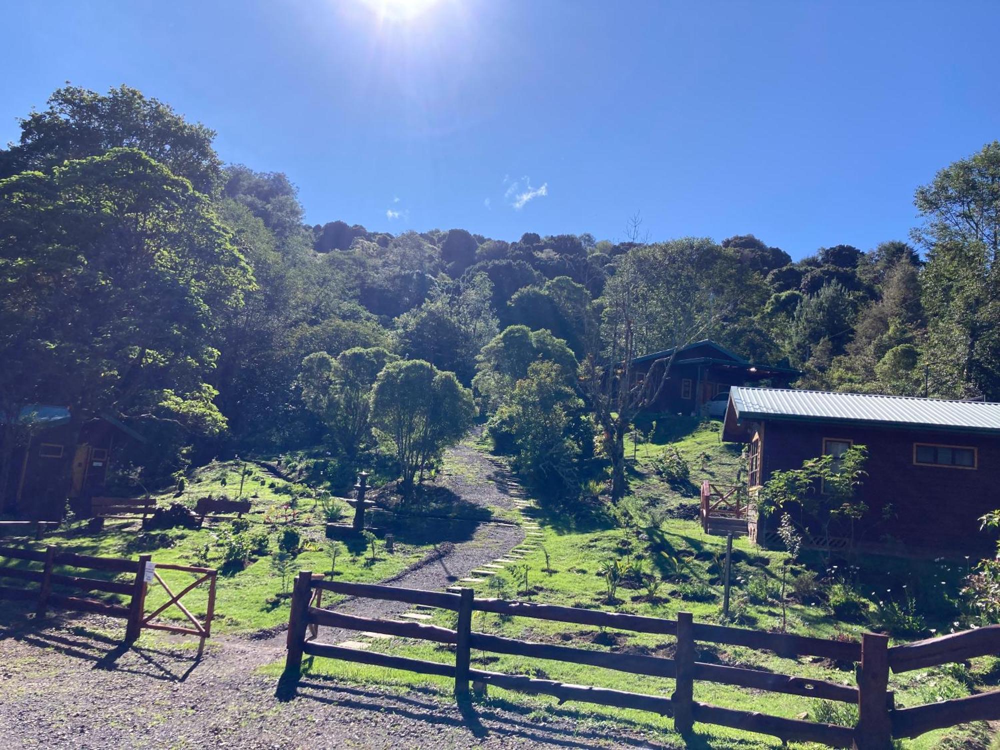 Curuba Lodge Copey Luaran gambar