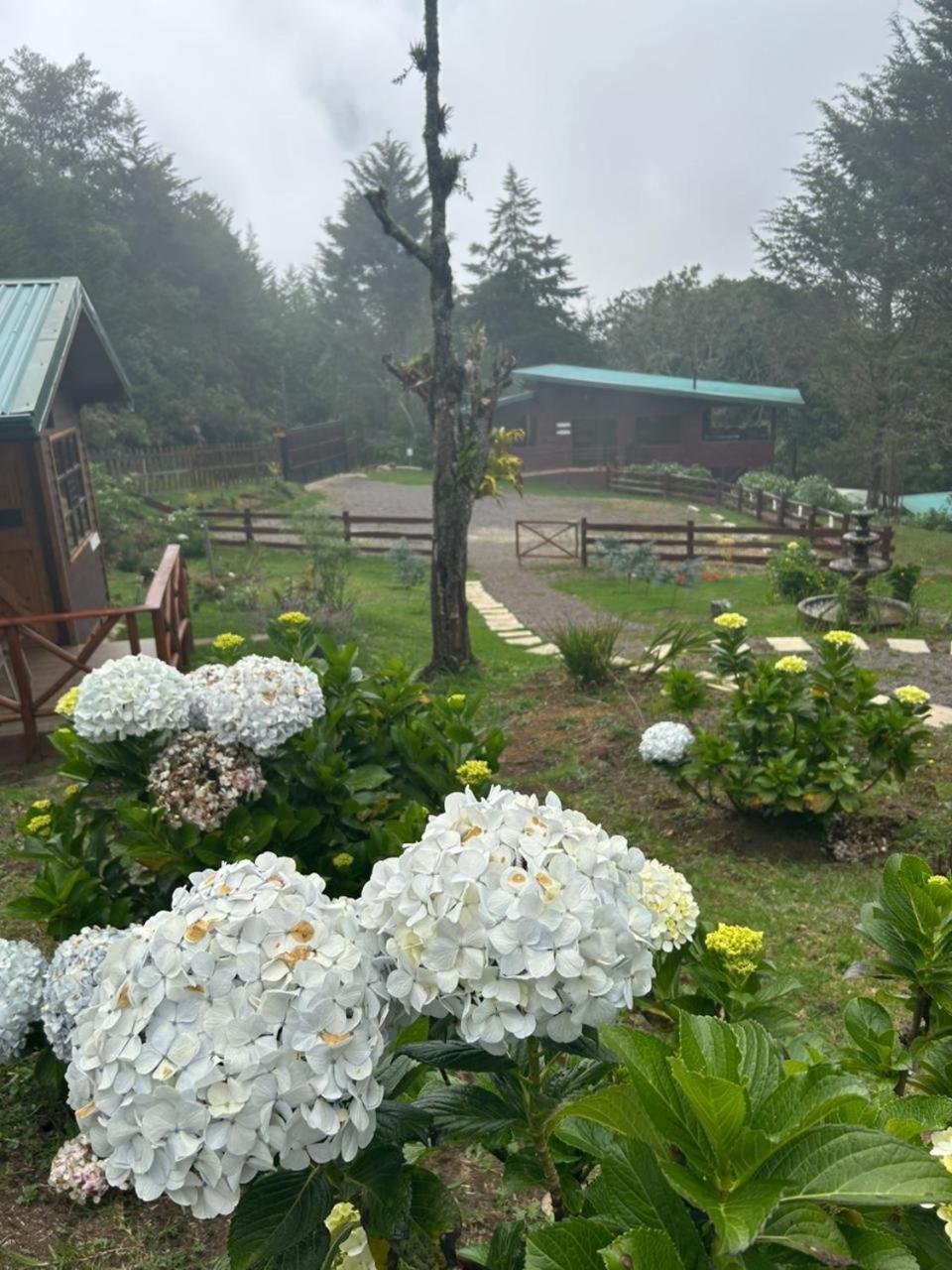 Curuba Lodge Copey Luaran gambar