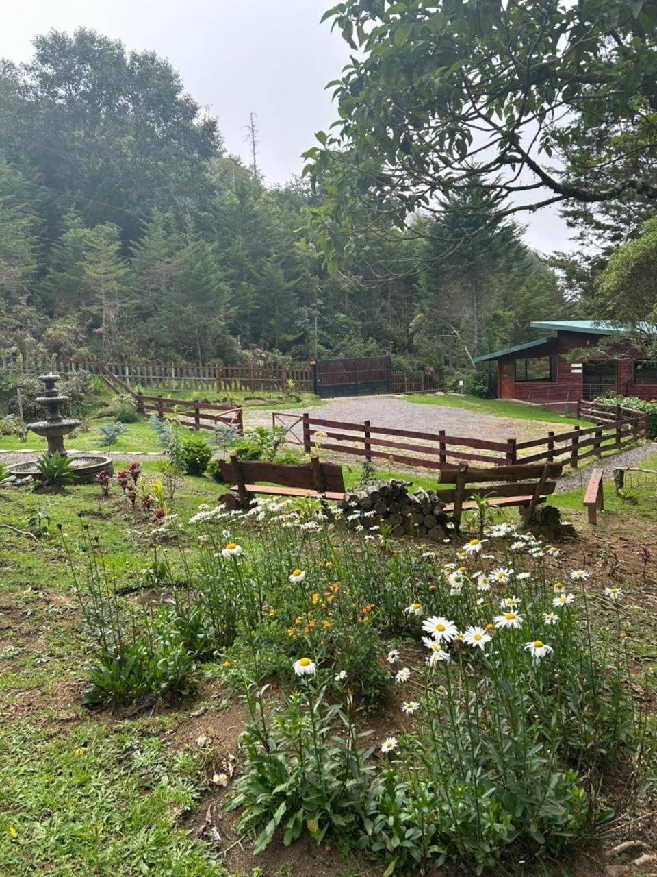 Curuba Lodge Copey Luaran gambar