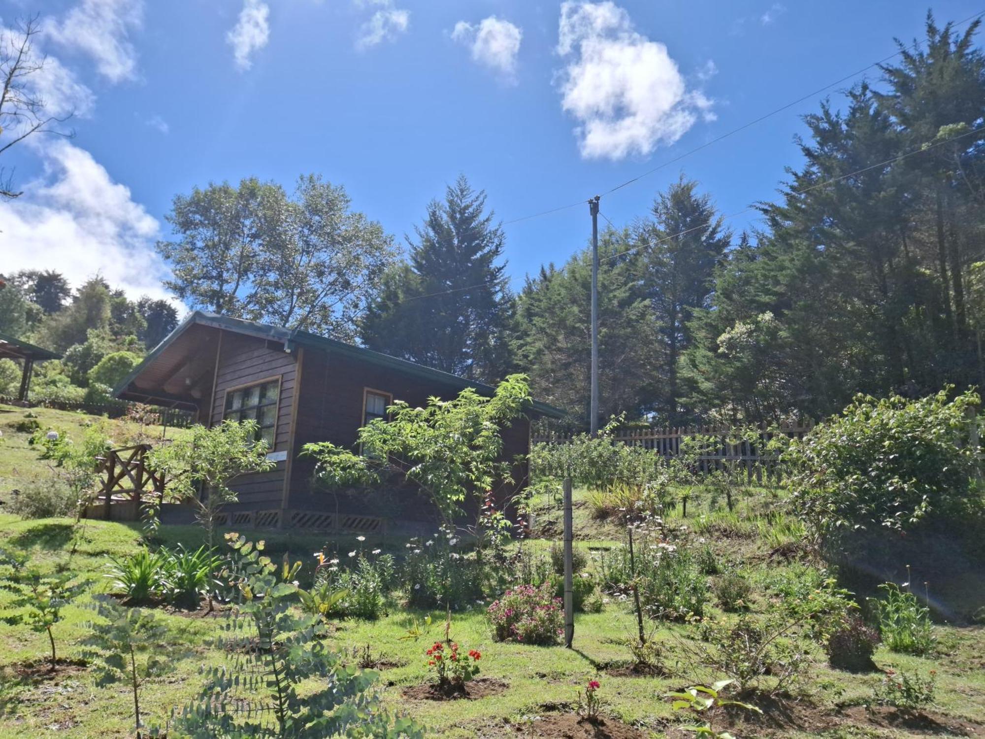 Curuba Lodge Copey Luaran gambar