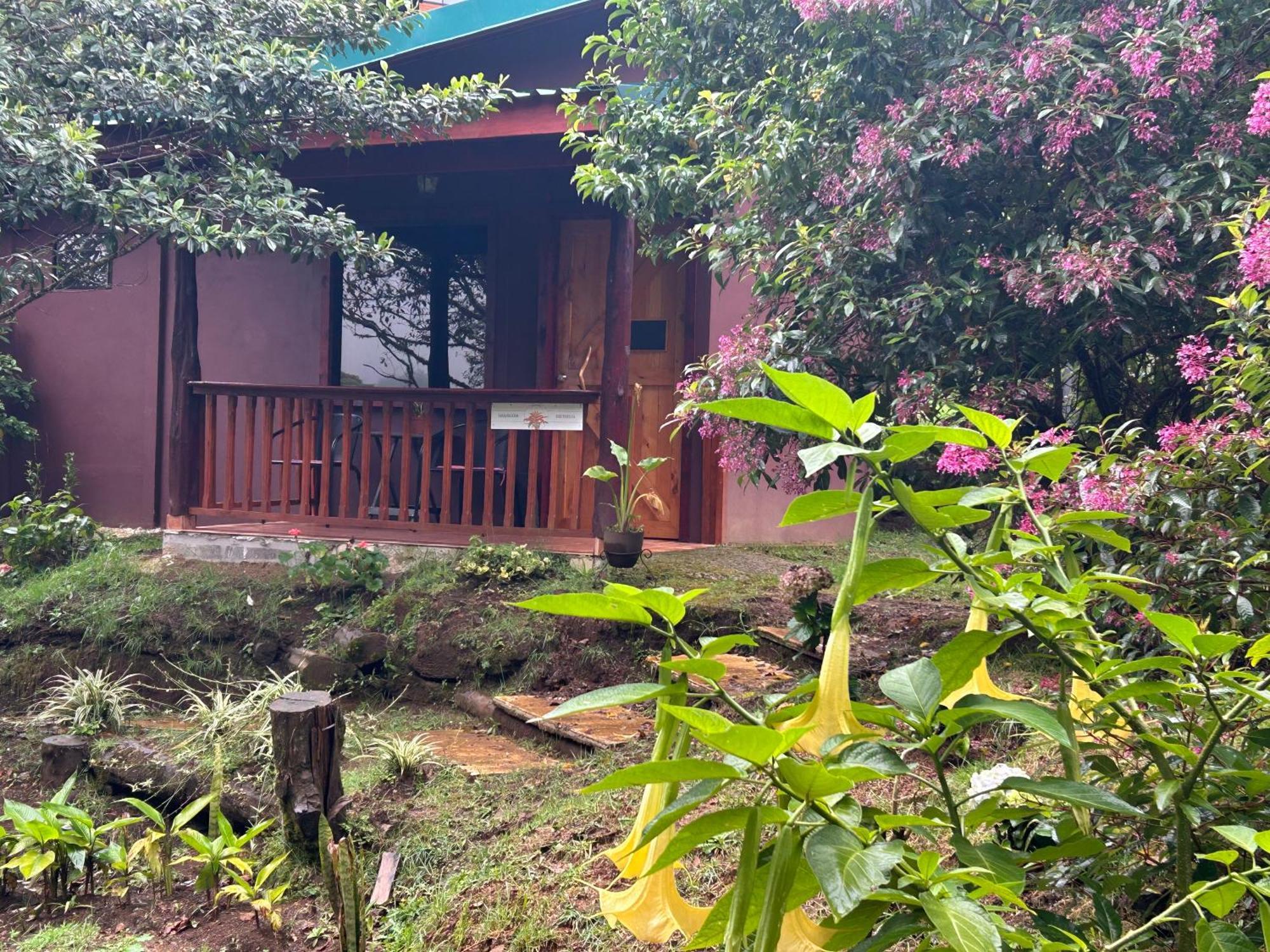 Curuba Lodge Copey Luaran gambar