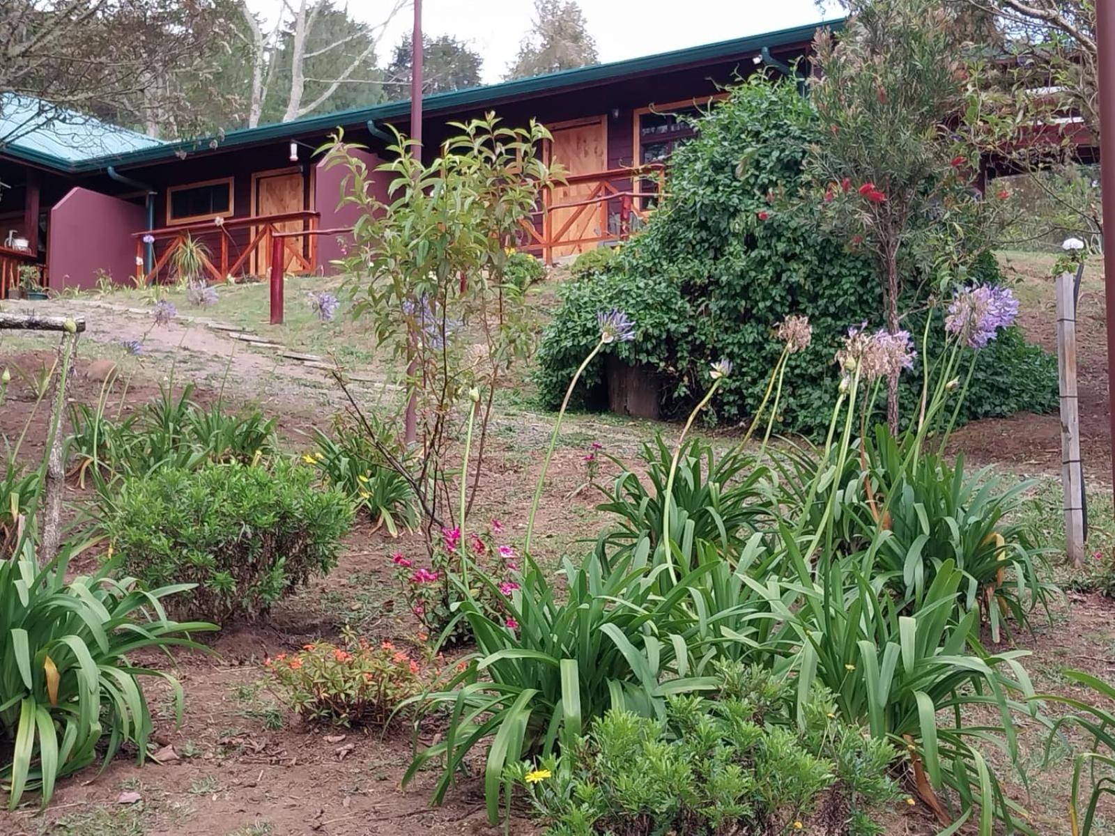 Curuba Lodge Copey Luaran gambar