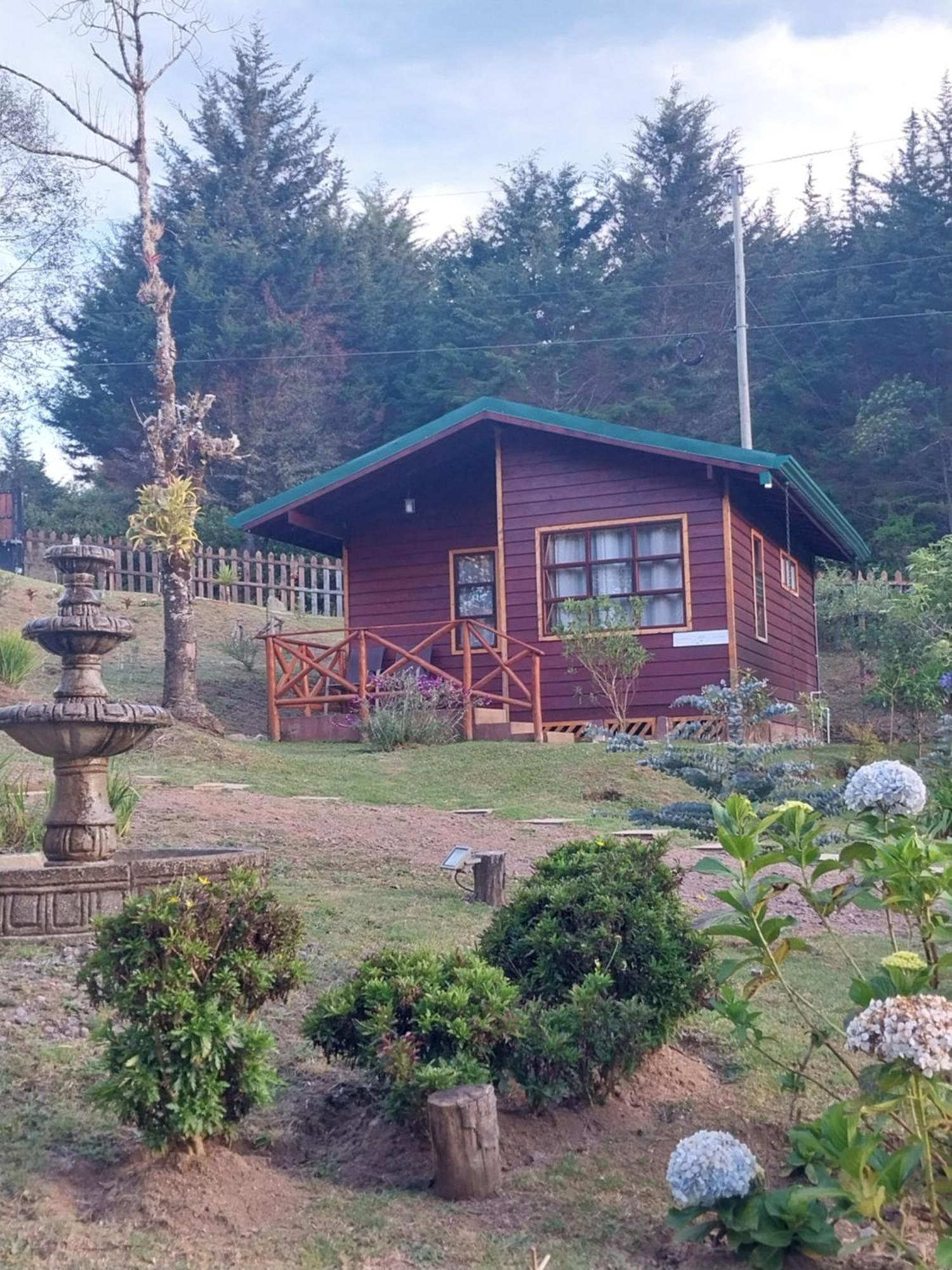 Curuba Lodge Copey Luaran gambar